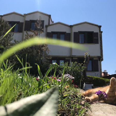 Apollon Hotel Бозджаада Экстерьер фото
